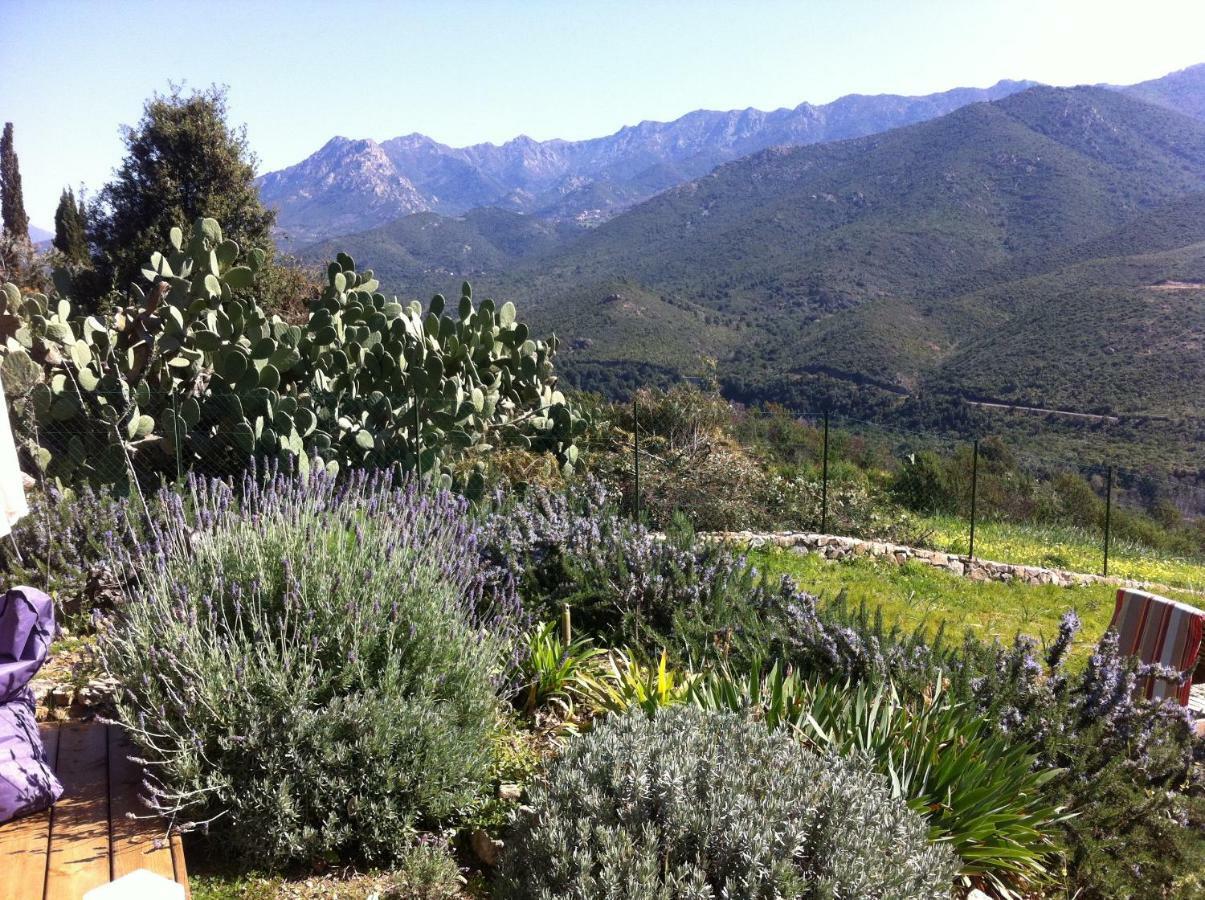 Mare E Legnu Bed and Breakfast Peri Buitenkant foto